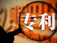 企業(yè)或個人為什么要進行專利申請？